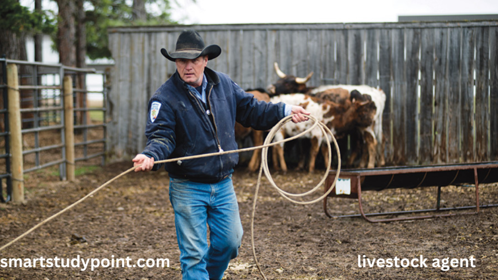 livestock agent 